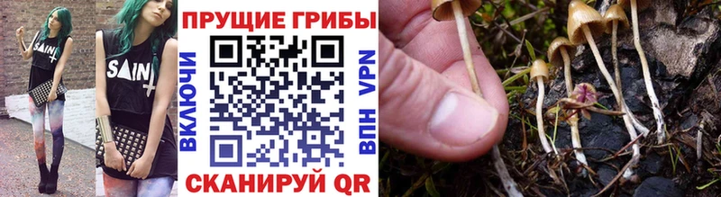 Псилоцибиновые грибы мухоморы  Мариинский Посад 